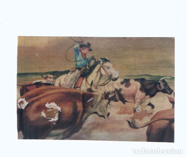 Coleccionismo deportivo: Cromos: de la Selva Misteriosa a los abismos del mar: numero 249: Tesoro ganadero