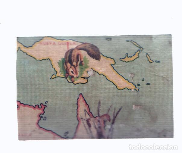 Coleccionismo deportivo: Cromos: de la Selva Misteriosa a los abismos del mar: numero 257: Mapa zoologico de Oceania, parte