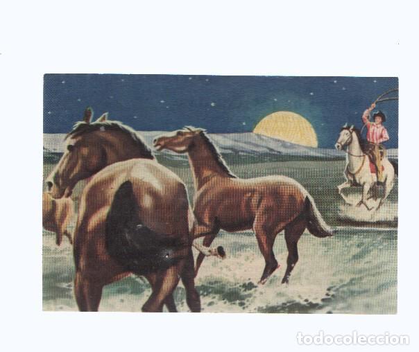 Coleccionismo deportivo: Cromos: de la Selva Misteriosa a los abismos del mar: numero 231: A la luz de la luna