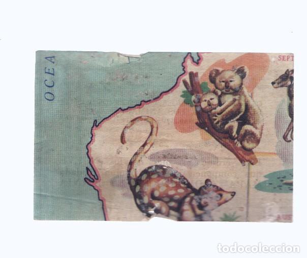 Collezionismo sportivo: Cromos: de la Selva Misteriosa a los abismos del mar: numero 259: Mapa zoologico de Oceania, parte