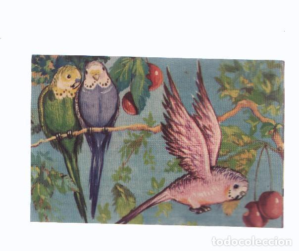 Collezionismo sportivo: Cromos: de la Selva Misteriosa a los abismos del mar: numero 275: Periquitos