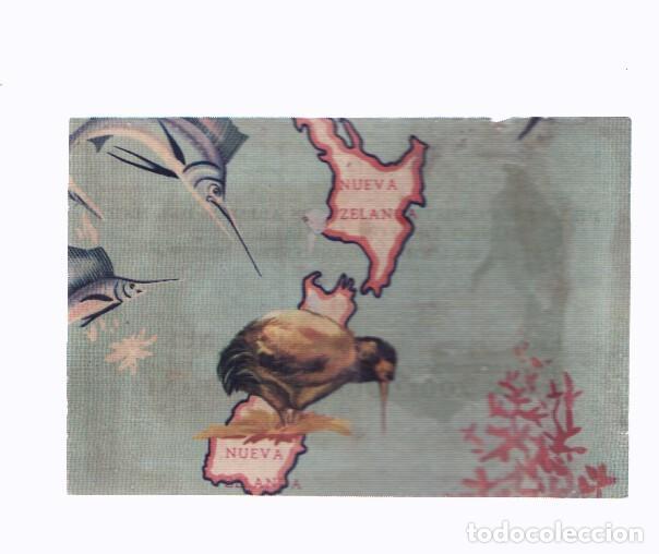 Collezionismo sportivo: Cromos: de la Selva Misteriosa a los abismos del mar: numero 264: Mapa zoologico de Oceania, parte