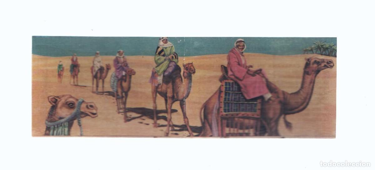 Collezionismo sportivo: Cromos: de la Selva Misteriosa a los abismos del mar: numero 124-125: Caravana en el desierto