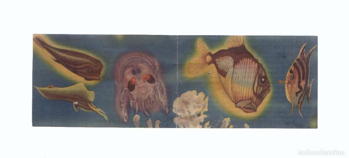 Collezionismo sportivo: Cromos: de la Selva Misteriosa a los abismos del mar: numero 301-302: Misterioso mundo en la eterna
