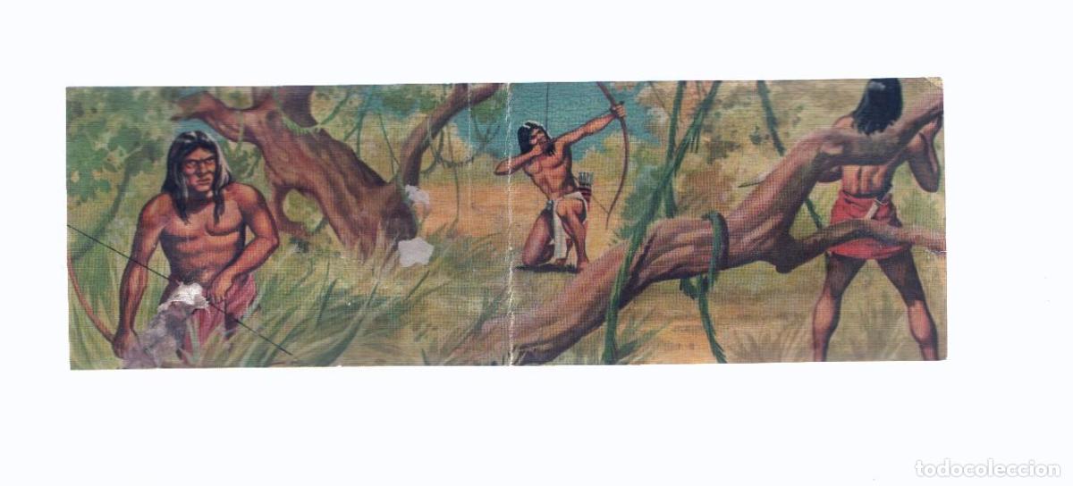 Collezionismo sportivo: Cromos: de la Selva Misteriosa a los abismos del mar: numero 238-239; Sobre la selva del amazonas