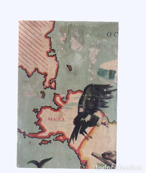 Collezionismo sportivo: Cromos: de la Selva Misteriosa a los abismos del mar: numero 166: Mapa zoologico de America del Nort