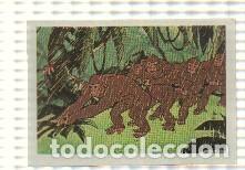 Collectionnisme sportif: Cromo Tarzan de Editorial Fher numero 14