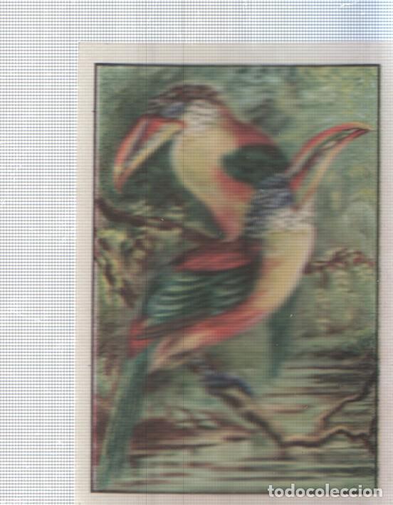 Colecionismo desportivo: Cromo Nestle numerado 001