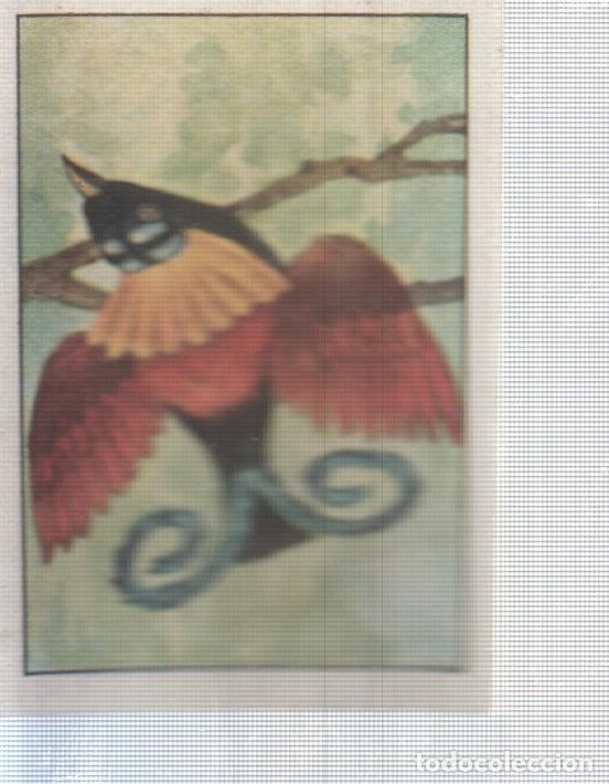 Sports collectibles: Cromo Nestle numerado 040: Ave