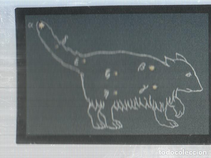 Sports collectibles: Cromo Nestle numerado 221: Astrologia