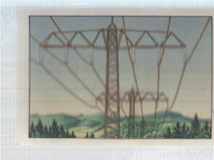 Collectionnisme sportif: Cromo Nestle numerado 252: Tendido electric o