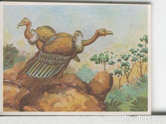 Colecionismo desportivo: Cromos: Aventuras de Jorge, el Peque&ntilde;o Tarzan, autor Gigarpe numero 068 - Varios