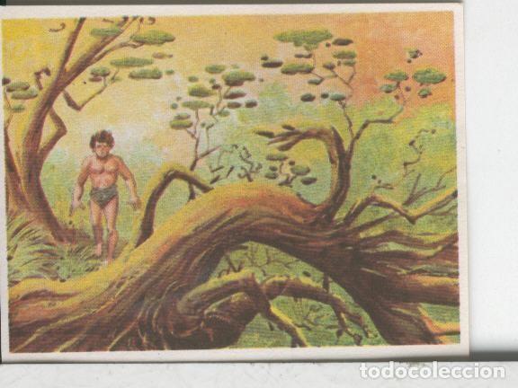 Sammelleidenschaft Sport: Cromos: Aventuras de Jorge, el Peque&ntilde;o Tarzan, autor Gigarpe numero 012 - Varios