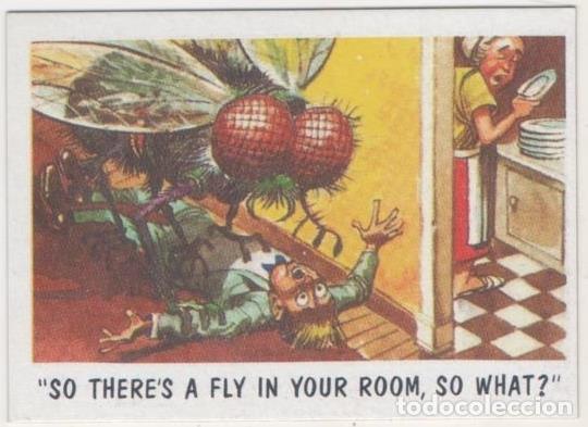 Collezionismo sportivo: Cromo E00996: Album 3-You'll Die Laughing, Card n&ordm; 37 - Jack Davis