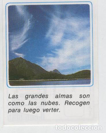 Collectionnisme sportif: Cromos: Mensajes de Alegria numerado 20 - Varios