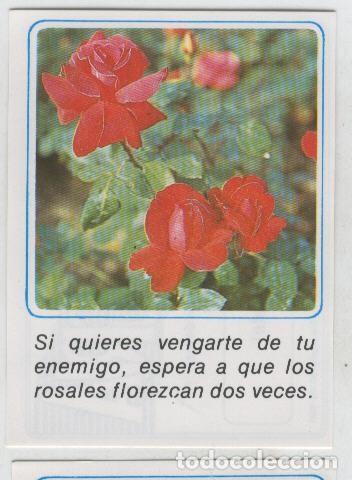 Collectionnisme sportif: Cromos: Mensajes de Alegria numerado 05 - Varios