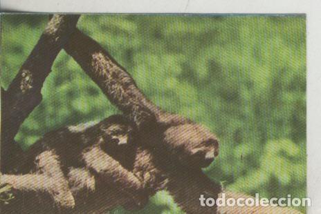 Sammelleidenschaft Sport: Cromos: La Naturaleza y sus maravillas numero 073 - Varios