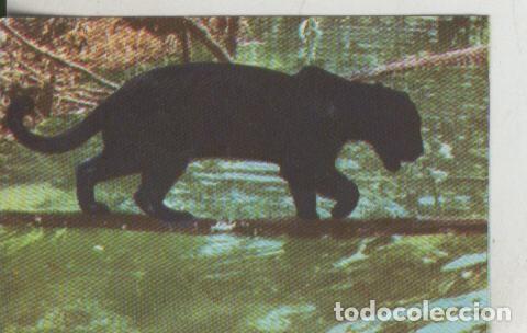 Sammelleidenschaft Sport: Cromos: La Naturaleza y sus maravillas numero 015 - Varios