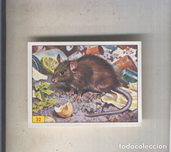 Coleccionismo deportivo: Cromo Mamiferos de Panini numero 032 - Varios