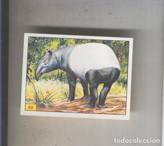 Coleccionismo deportivo: Cromo Mamiferos de Panini numero 060 - Varios
