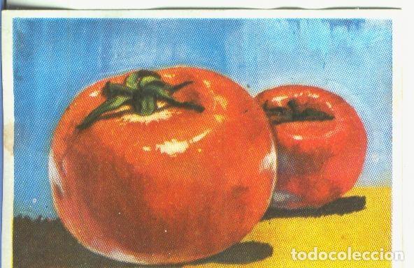 Colecionismo desportivo: Cromos: Historia Natural numero 463 - Varios