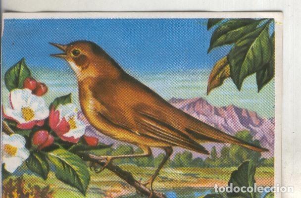 Sports collectibles: Cromos: Historia Natural numero 209 - Varios