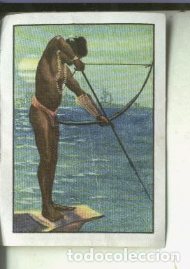 Coleccionismo deportivo: Cromo: Curiosidades del Universo serie numero 7 numero 9 - Varios