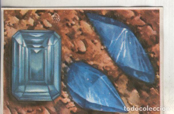 Sammelleidenschaft Sport: Cromos: Historia Natural numero 076 - Varios