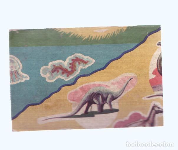 Collezionismo sportivo: Cromos: de la Selva Misteriosa a los abismos del mar: numero 005: cromo de la lamina Animales de div