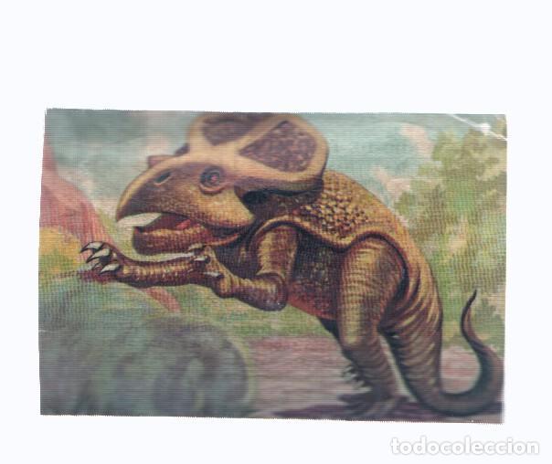 Colecionismo desportivo: Cromos: de la Selva Misteriosa a los abismos del mar: numero 017: Dinosaurios de Mongolia