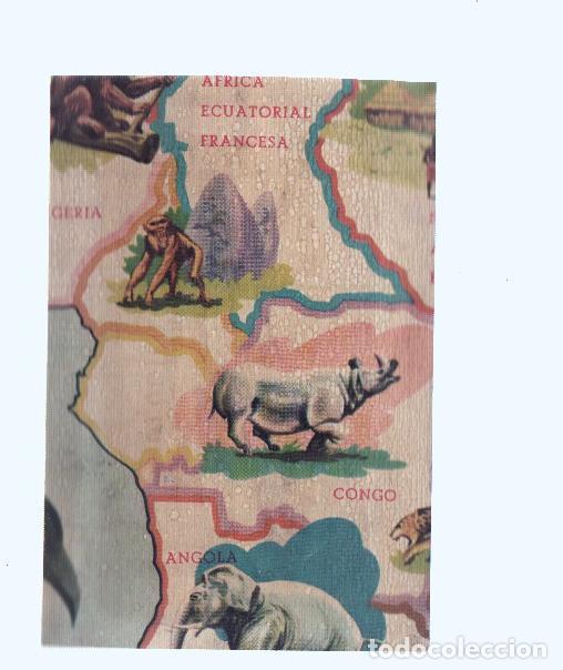 Collezionismo sportivo: Cromos: de la Selva Misteriosa a los abismos del mar: numero 113: Mapa zoologico de Africa, parte