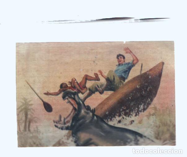 Collezionismo sportivo: Cromos: de la Selva Misteriosa a los abismos del mar: numero 122: Un titan acometedor
