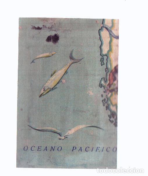 Colecionismo desportivo: Cromos: de la Selva Misteriosa a los abismos del mar: numero 217: Mapa zoologico de America del Sur,