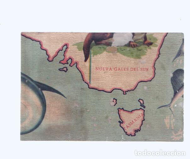 Colecionismo desportivo: Cromos: de la Selva Misteriosa a los abismos del mar: numero 263: Mapa zoologico de Oceania, parte