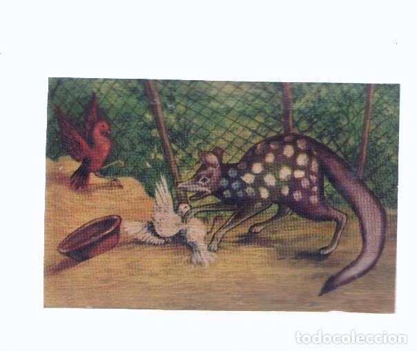 Colecionismo desportivo: Cromos: de la Selva Misteriosa a los abismos del mar: numero 271: Con el llega el silencio, la muert