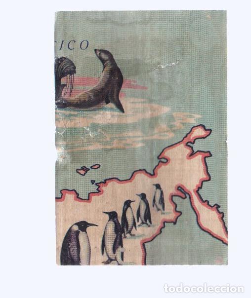 Colecionismo desportivo: Cromos: de la Selva Misteriosa a los abismos del mar: numero 056: Mapa zoologico de asia, parte