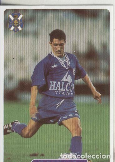 Colecionismo desportivo: Cromos: Las fichas de la liga 95/96-Tenerife: Robaina - Varios