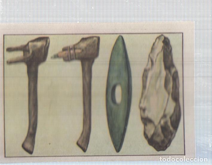 Colecionismo desportivo: Cromo Nestle numerado 047: utensilios casa