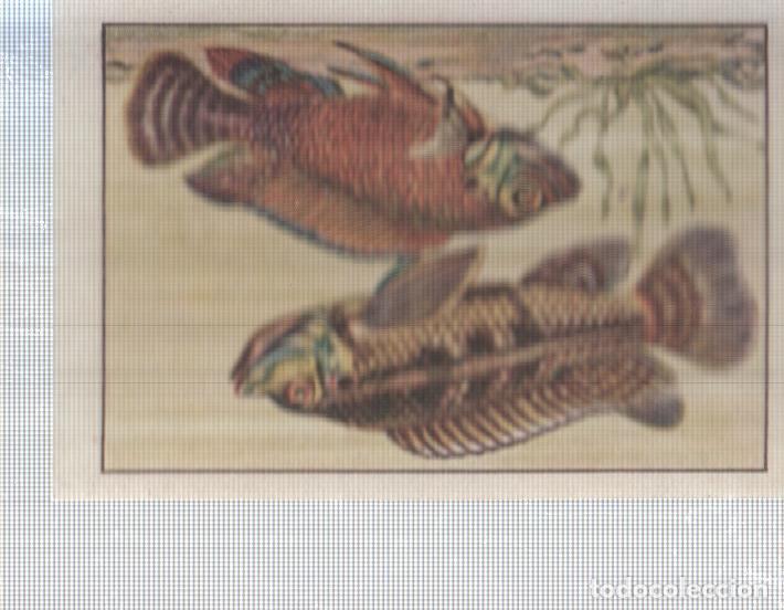Colecionismo desportivo: Cromo Nestle numerado 099: Peces