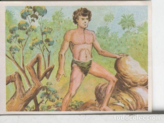 Coleccionismo deportivo: Cromos: Aventuras de Jorge, el Peque&ntilde;o Tarzan, autor Gigarpe numero 080 - Varios