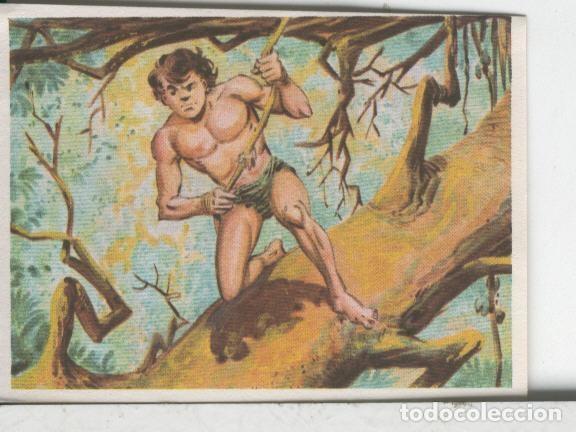 Coleccionismo deportivo: Cromos: Aventuras de Jorge, el Peque&ntilde;o Tarzan, autor Gigarpe numero 073 - Varios