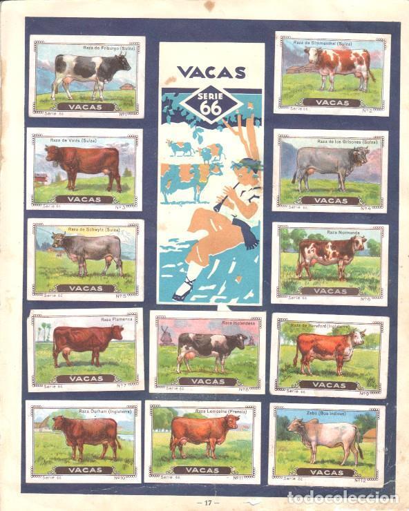 Collectionnisme sportif: Pagina Album cromos: Mi Album Nestle - Series 66/67 - Varios