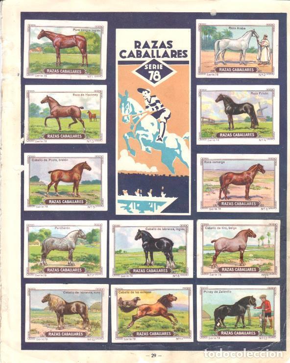 Collezionismo sportivo: Pagina Album cromos: Mi Album Nestle - Series 78/79 - Varios