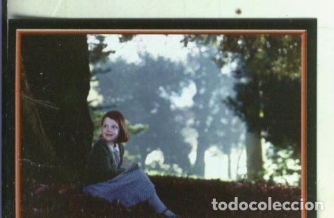 Collectionnisme sportif: Cromos: Narnia numero 045 - Varios