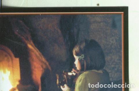 Collectionnisme sportif: Cromos: Narnia numero 027 - Varios