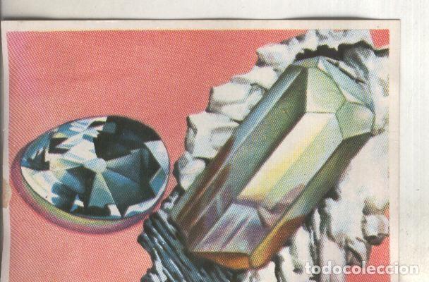 Sports collectibles: Cromos: Historia Natural numero 086 - Varios