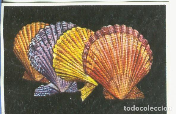 Collectionnisme sportif: Cromos: Historia Natural numero 150 - Varios