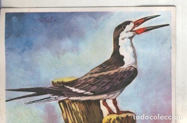 Collectionnisme sportif: Cromos: Historia Natural numero 287 - Varios