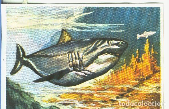 Collectionnisme sportif: Cromos: Historia Natural numero 368 - Varios