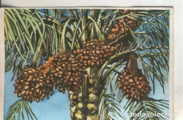 Collectionnisme sportif: Cromos: Historia Natural numero 393 - Varios